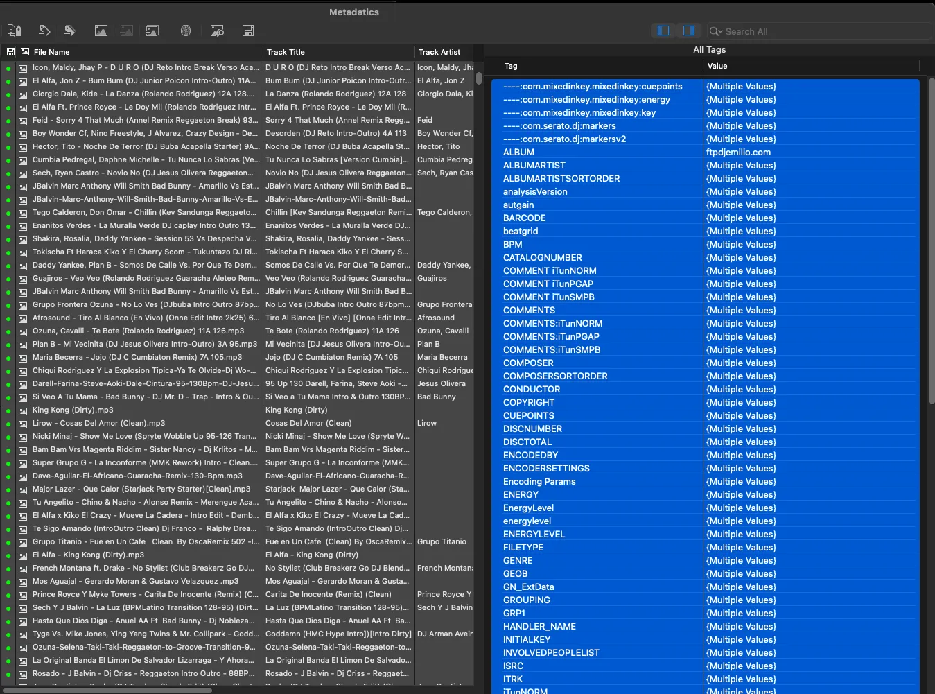 Vista completa de tags en Metadatics